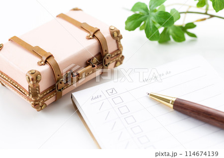 旅行バックとチェックリスト 114674139