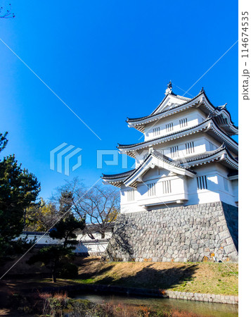 のぼうの城忍城跡の景色 天守とお堀 難攻不落の落ちない城 青空の下で のぼうの城忍城跡の景色 天守とお堀 難攻不落の落ちない城 青空の下で 114674535