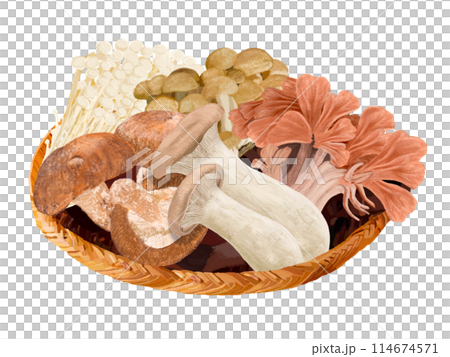 Mushroom set (with colander) Mushroom set (with colander) 114674571