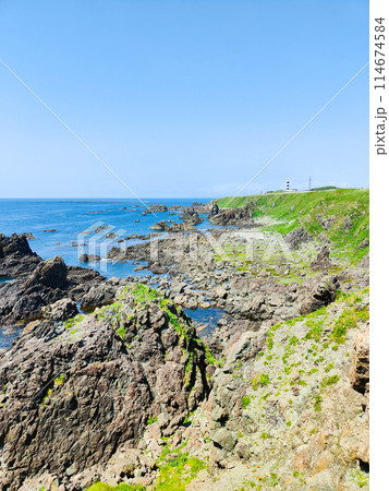 入道崎 114674584