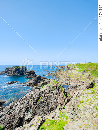 入道崎 114674593