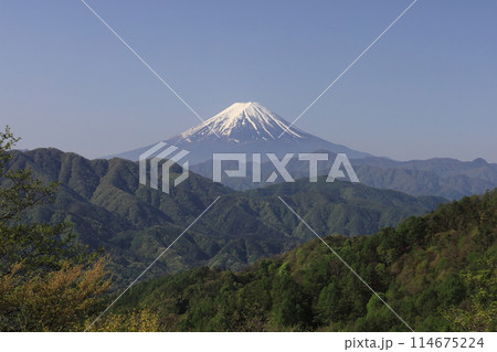 柳沢峠と富士山 柳沢峠と富士山 114675224