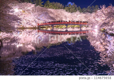 桜満開夜の絶景　弘前城西濠の花筏と水鏡　青森県 114675658