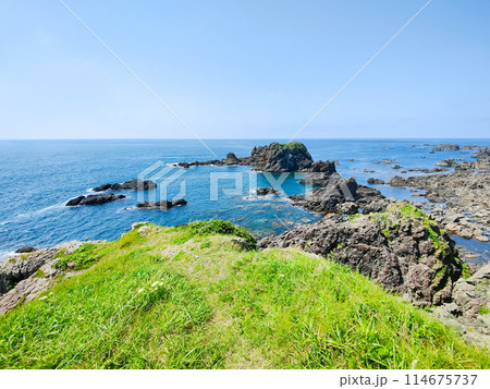 入道崎 114675737