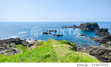 入道崎 114675743