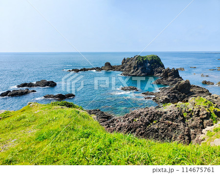 入道崎 114675761