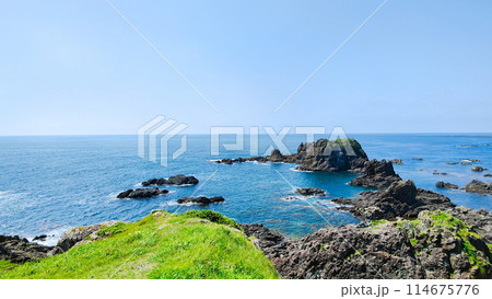 入道崎 入道崎 114675776