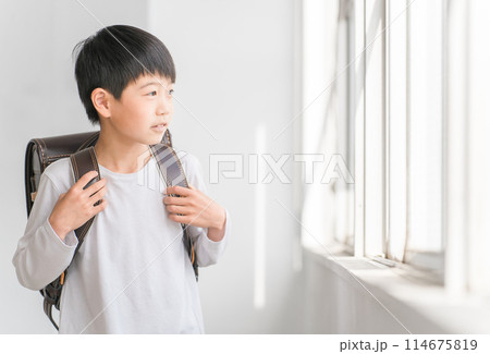 教室でランドセルを背負う小学生の男の子 114675819