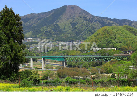 鳥沢の鉄橋を渡る中央本線 鳥沢の鉄橋を渡る中央本線 114676214