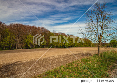 A plowed field in the village of three lines of nature, earth, trees, sky A plowed field in the village of three lines of nature, earth, trees, sky 114676309
