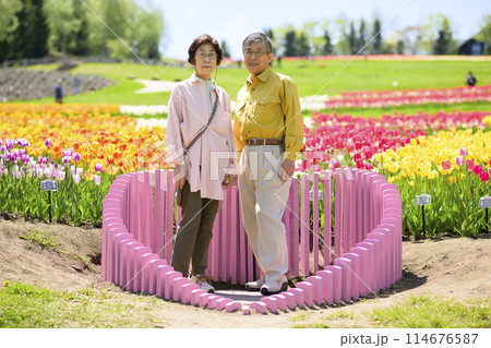満開のチューリップ畑で記念写真を撮るシニアの夫婦 114676587