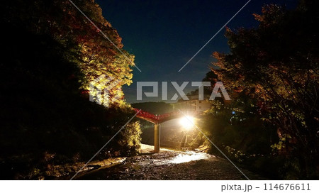 千葉県養老渓谷 紅葉時期の夜の観音橋 千葉県養老渓谷 紅葉時期の夜の観音橋 114676611