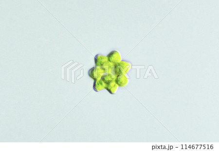 緑藻　コエラストルム 114677516