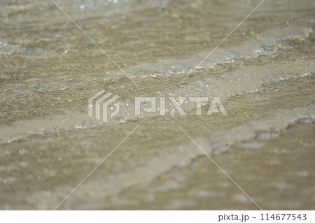 岩美ブルーの浦富海岸（東浜海水浴場付近） 114677543