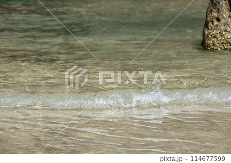 岩美ブルーの浦富海岸(東浜海水浴場付近) 岩美ブルーの浦富海岸(東浜海水浴場付近) 114677599