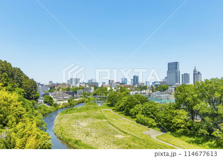 春の広瀬川と仙台市全景　 114677613