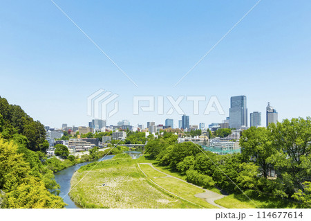 春の広瀬川と仙台市全景　 114677614