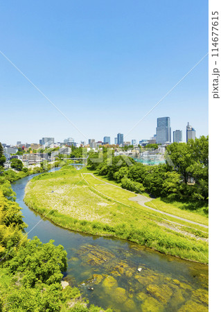春の広瀬川と仙台市全景　 114677615