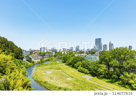 春の広瀬川と仙台市全景　 114677616