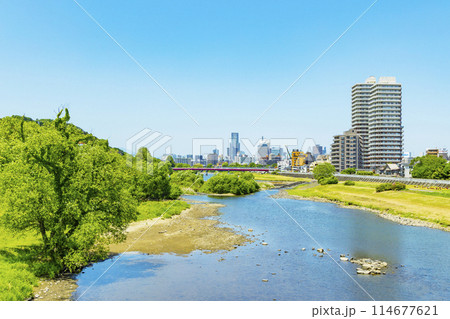 春の広瀬川と仙台市全景　 114677621