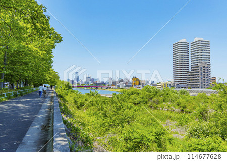春の広瀬川と仙台市全景　 114677628