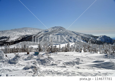 宮城蔵王・樹氷 宮城蔵王・樹氷 114677781