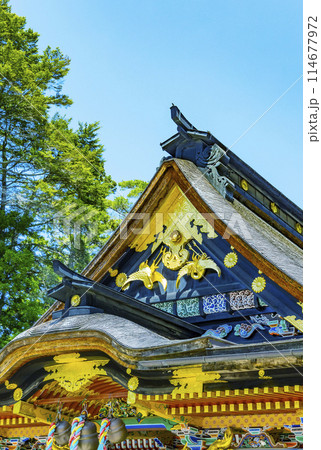 春の国宝大崎八幡宮　仙台市 114677972