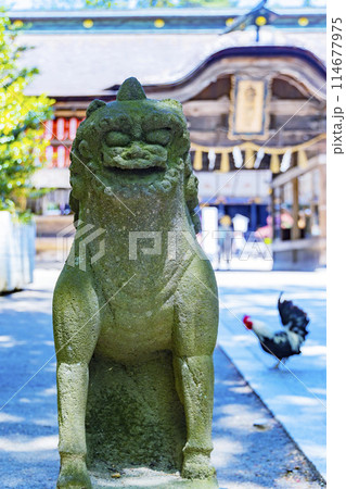 春の国宝大崎八幡宮　仙台市 114677975