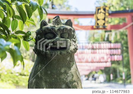 春の国宝大崎八幡宮　仙台市 114677983