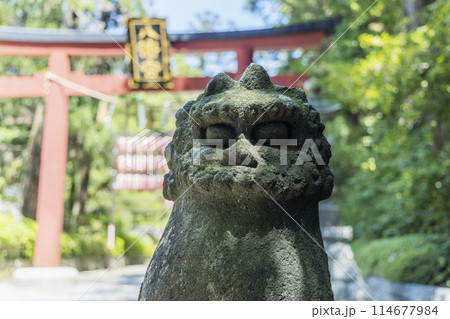 春の国宝大崎八幡宮　仙台市 114677984