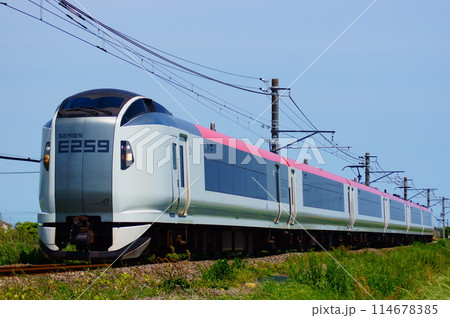 総武本線を走るE259系・特急しおさい 総武本線を走るE259系・特急しおさい 114678385