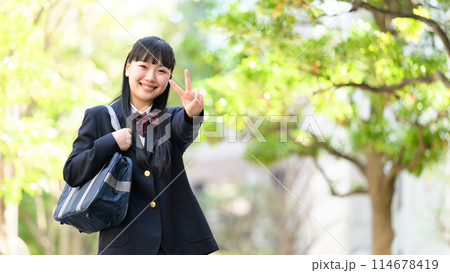 女子高生 通学 新緑 ピース 女子高生 通学 新緑 ピース 114678419