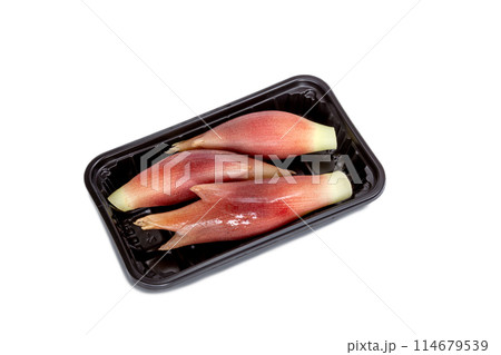 食品トレー入りのミョウガ【白背景・切り抜き】 114679539