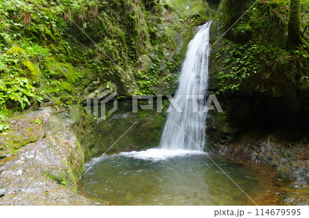 武蔵御岳七代ノ滝 114679595