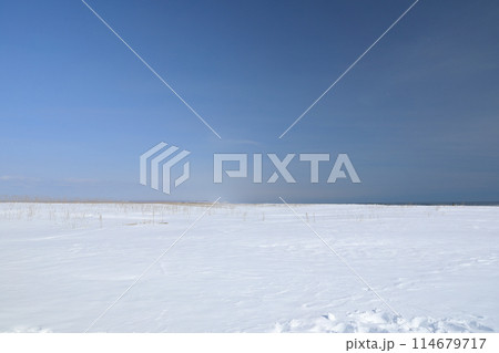 青空に映える大津海岸の大雪原の風景 114679717