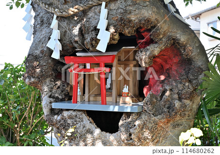 中山道桶川宿散歩:桶川稲荷神社 桶川市寿 中山道桶川宿散歩:桶川稲荷神社 桶川市寿 114680262
