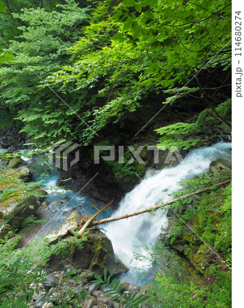 スッカン沢の仁三郎ノ滝 スッカン沢の仁三郎ノ滝 114680274