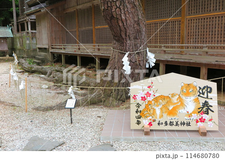 対馬の海宮、和多都美神社：御神木の「龍松」と、寅年の絵馬 114680780