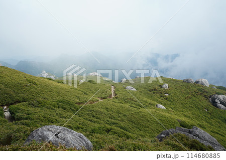 霧の屋久島 114680885