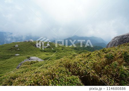 霧の屋久島 霧の屋久島 114680886