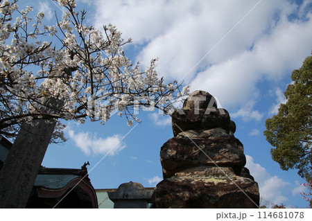 四国霊場第47番札所「八坂寺」層塔 114681078
