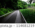道 114681219