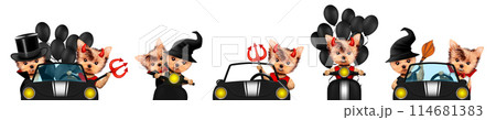 Dracula, devil and witch as cute pet dog. Halloween and Dead day Dracula, devil and witch as cute pet dog. Halloween and Dead day 114681383