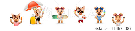 Funny cute dogs in swimming suit and sunglasses holding umbrella and beach ball 114681385