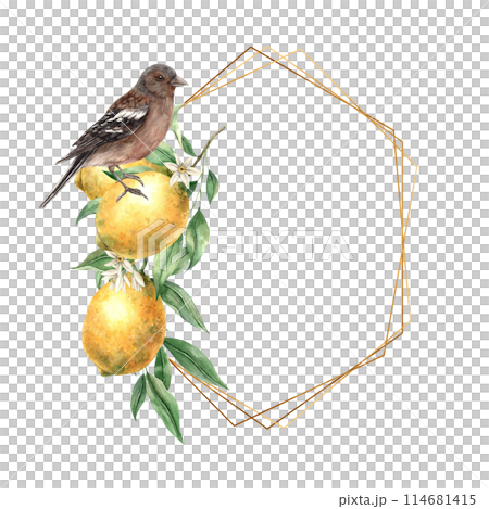 Yellow lemon with green leaves and flowers, brown realistic bird. Isolated watercolor hexagonal frame in vintage style with gold. Hand drawn for cards, wedding design, invitations, packaging Yellow lemon with green leaves and flowers, brown realistic bird. Isolated watercolor hexagonal frame in vintage style with gold. Hand drawn for cards, wedding design, invitations, packaging 114681415