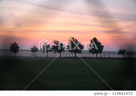 フェンス越しに見た「あけぼの山農業公園」近郊の木立と綺麗な朝焼け 114681453