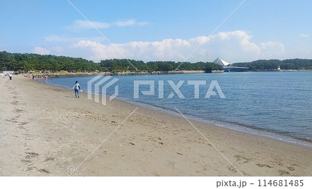 冬の晴天の砂浜 114681485