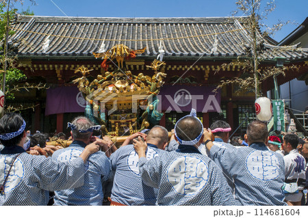 浅草 三社祭 お神輿の渡御 町内神輿連合渡御(ちょうないみこしれんごうとぎょ) 浅草神社拝殿前にて 浅草 三社祭 お神輿の渡御 町内神輿連合渡御(ちょうないみこしれんごうとぎょ) 浅草神社拝殿前にて 114681604