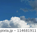 夏空と白い雲 114681911