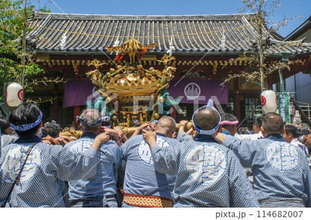 浅草　三社祭　お神輿の渡御　町内神輿連合渡御(ちょうないみこしれんごうとぎょ) 　浅草神社拝殿前にて 114682007